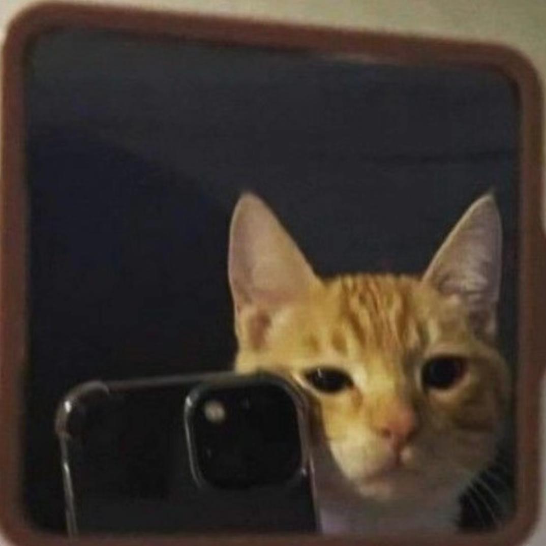 S属性大爆发Study!