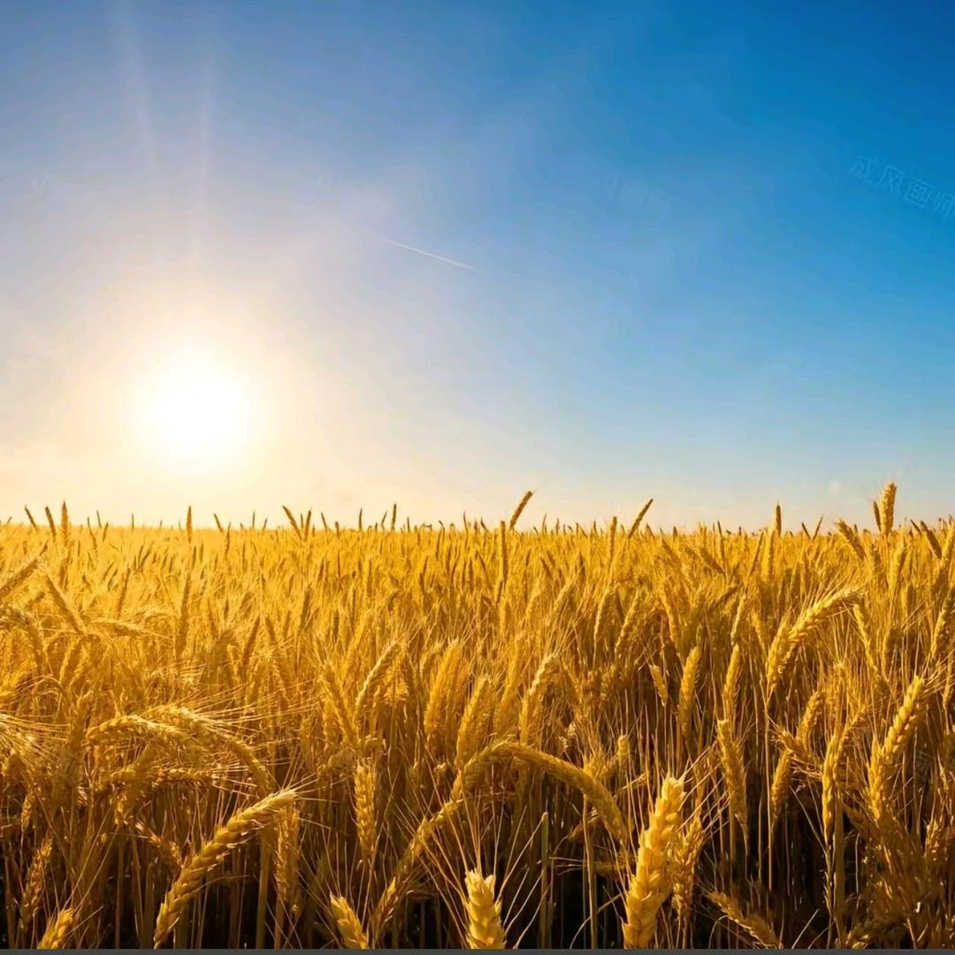 物理小马老师和我的善源自习室