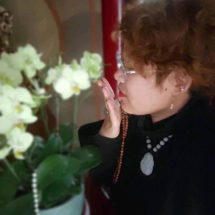 一帘幽梦