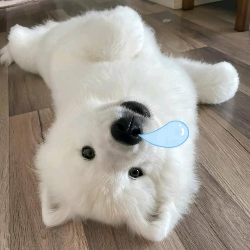 等春赴
