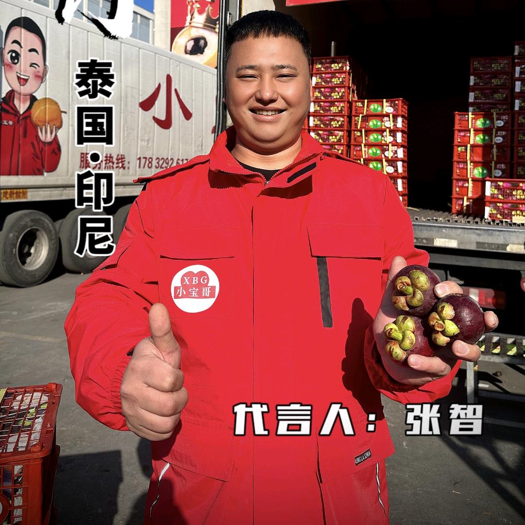 小宝哥榴莲张智