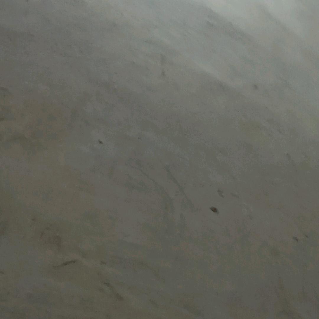 梁梁 111