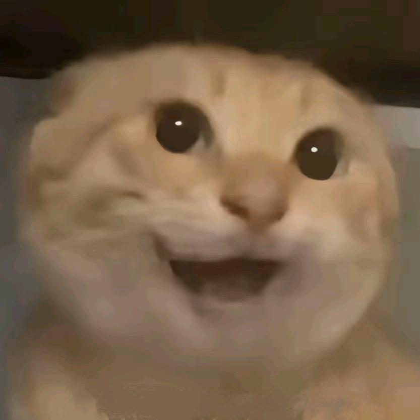 不打烊