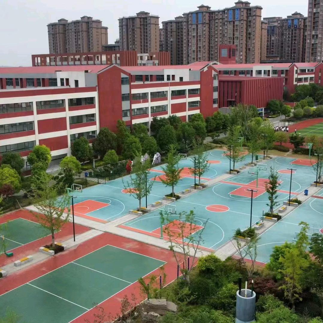 升学规划翟老师