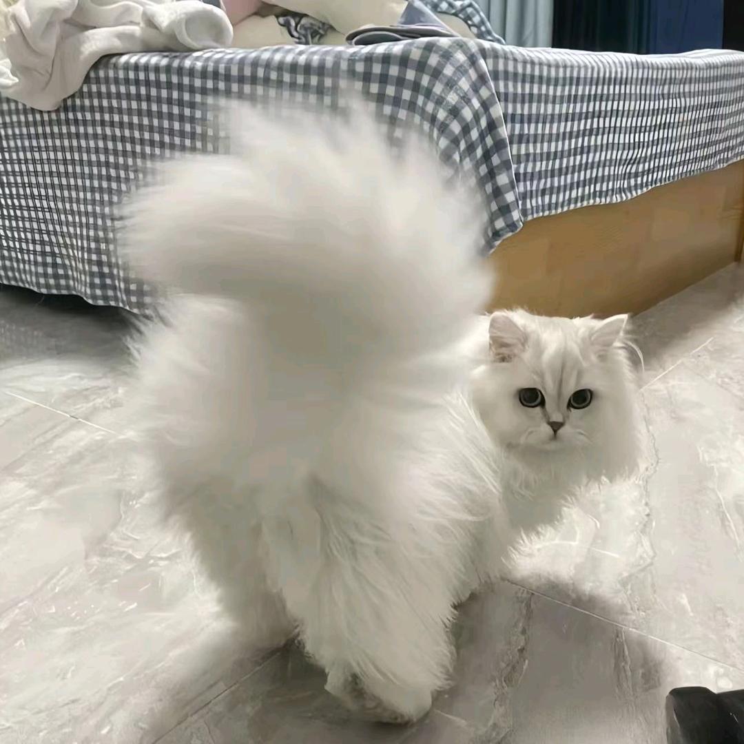 空也，，，，