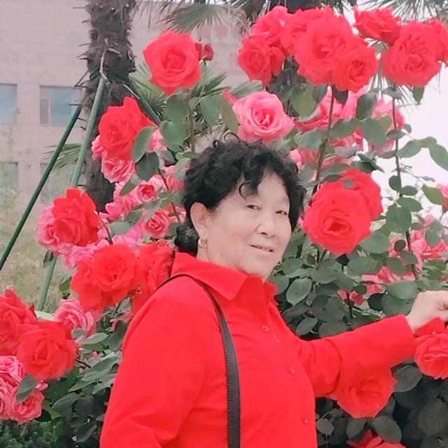 春夏秋冬