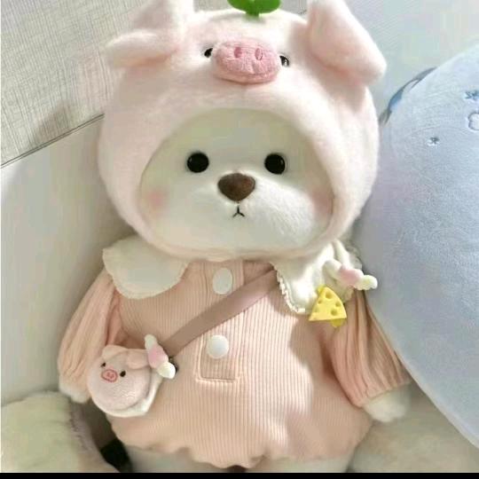 @小呆鱼宝