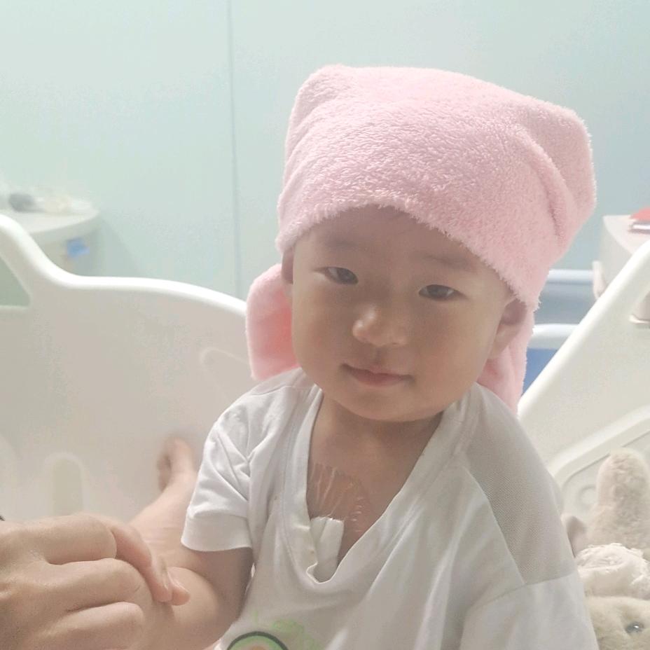 鹏程万里，付之海