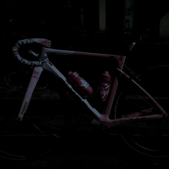 樊先森🚴‍♂️🚴‍♂️