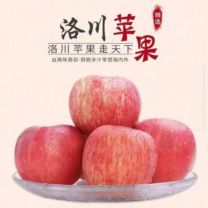 张百万