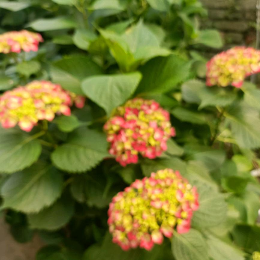 生死由命，富贵在天