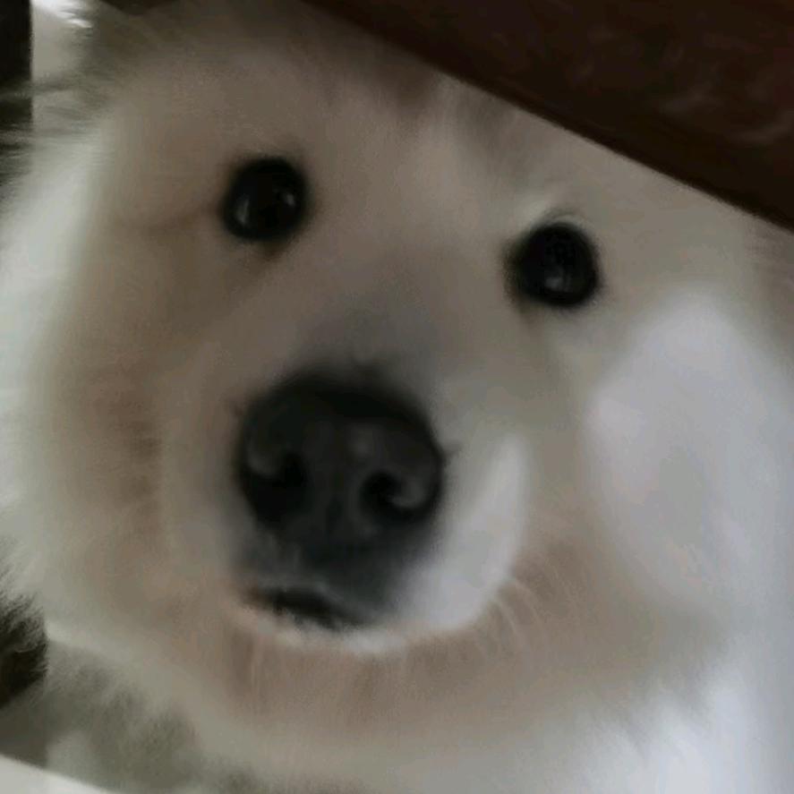 小   钢   盔