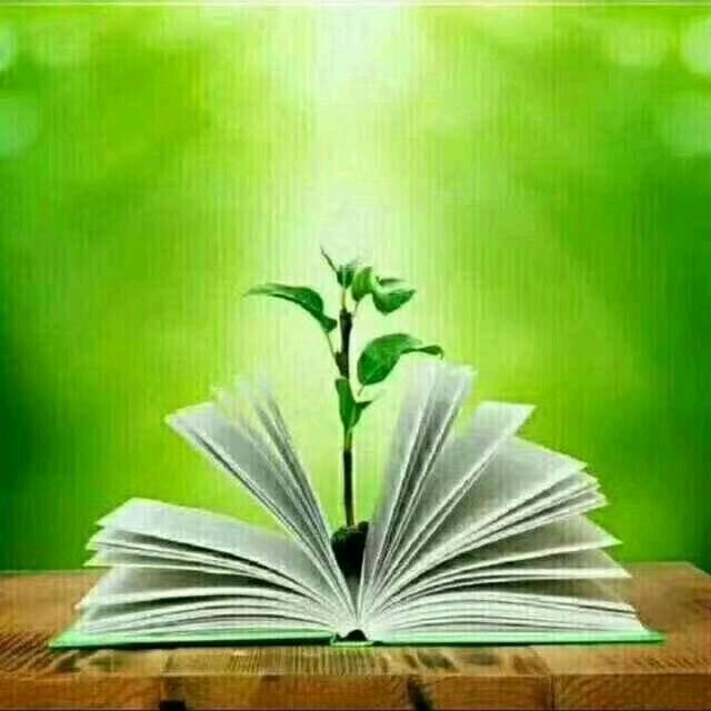 💎mhriban💎百货店💎