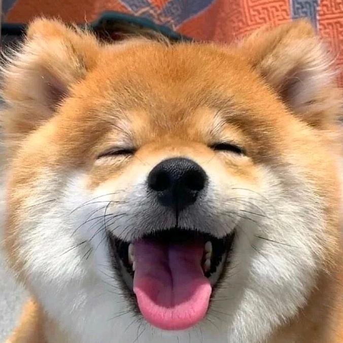 顽趣玩具