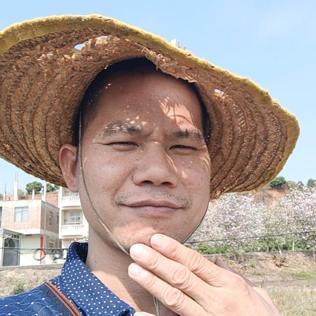 金志歌农村