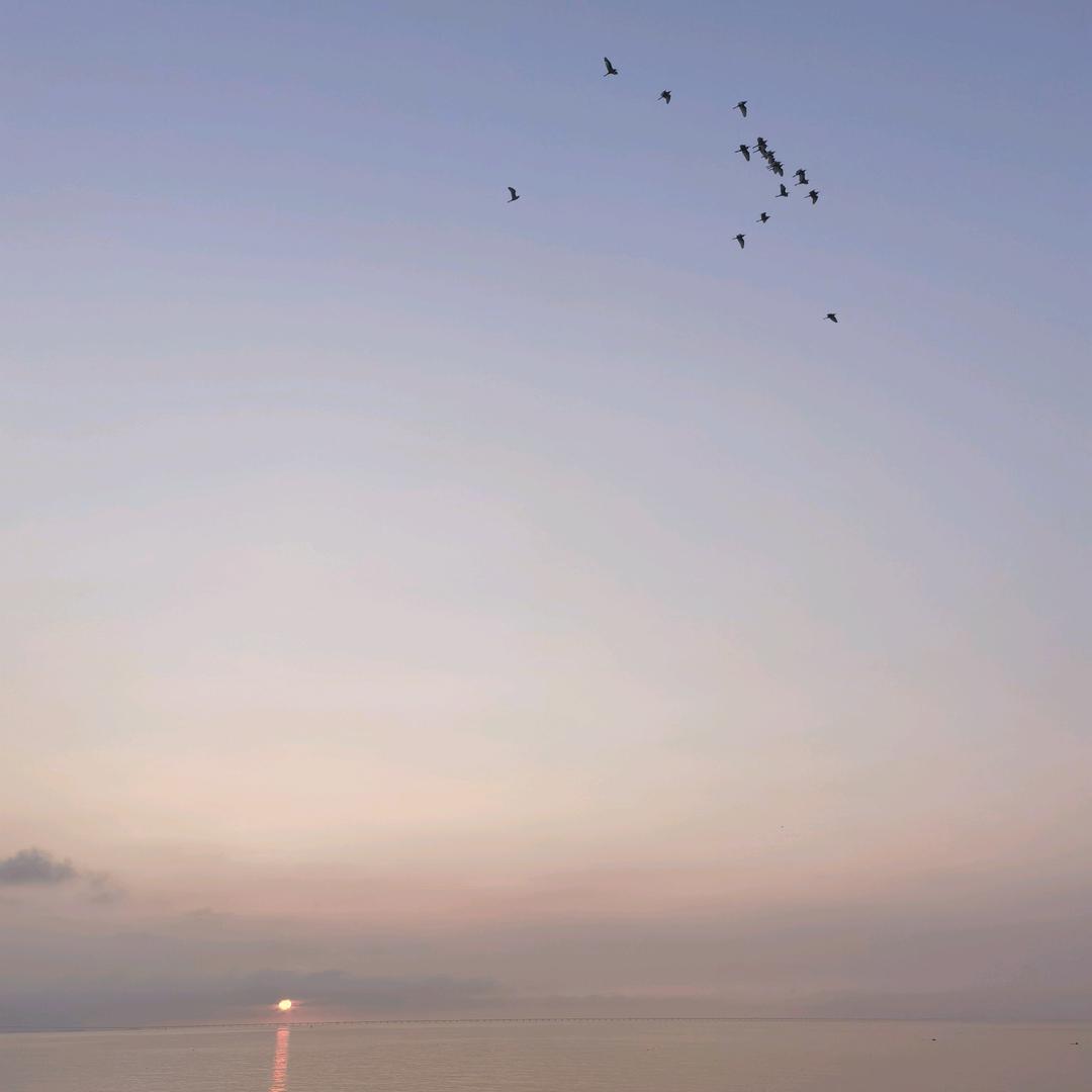 格瓦斯掺伏特加