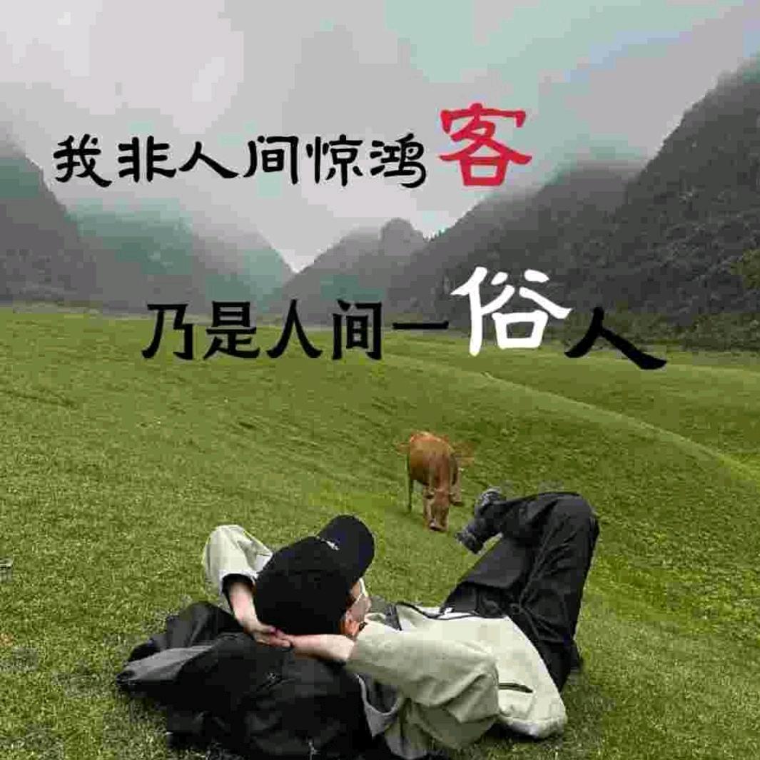 孤心静幽