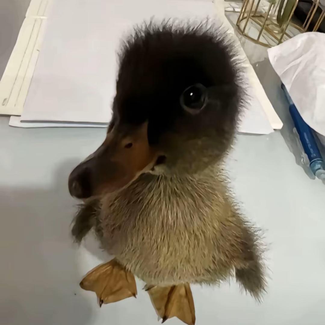 大学百科君