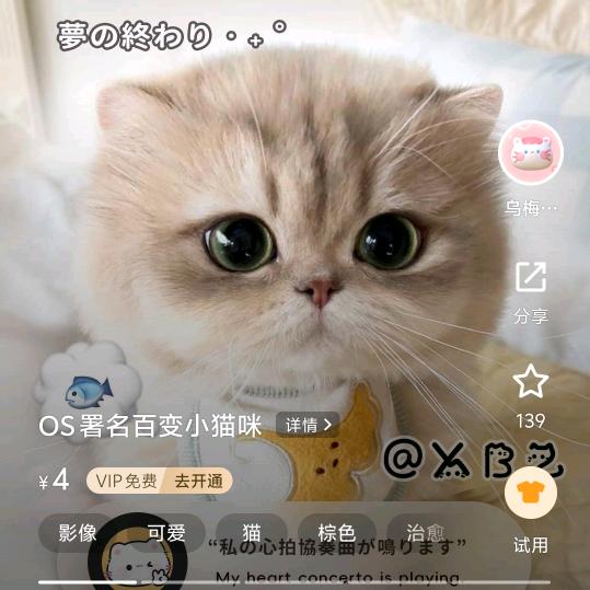 外卖小扒菜🐿🐿