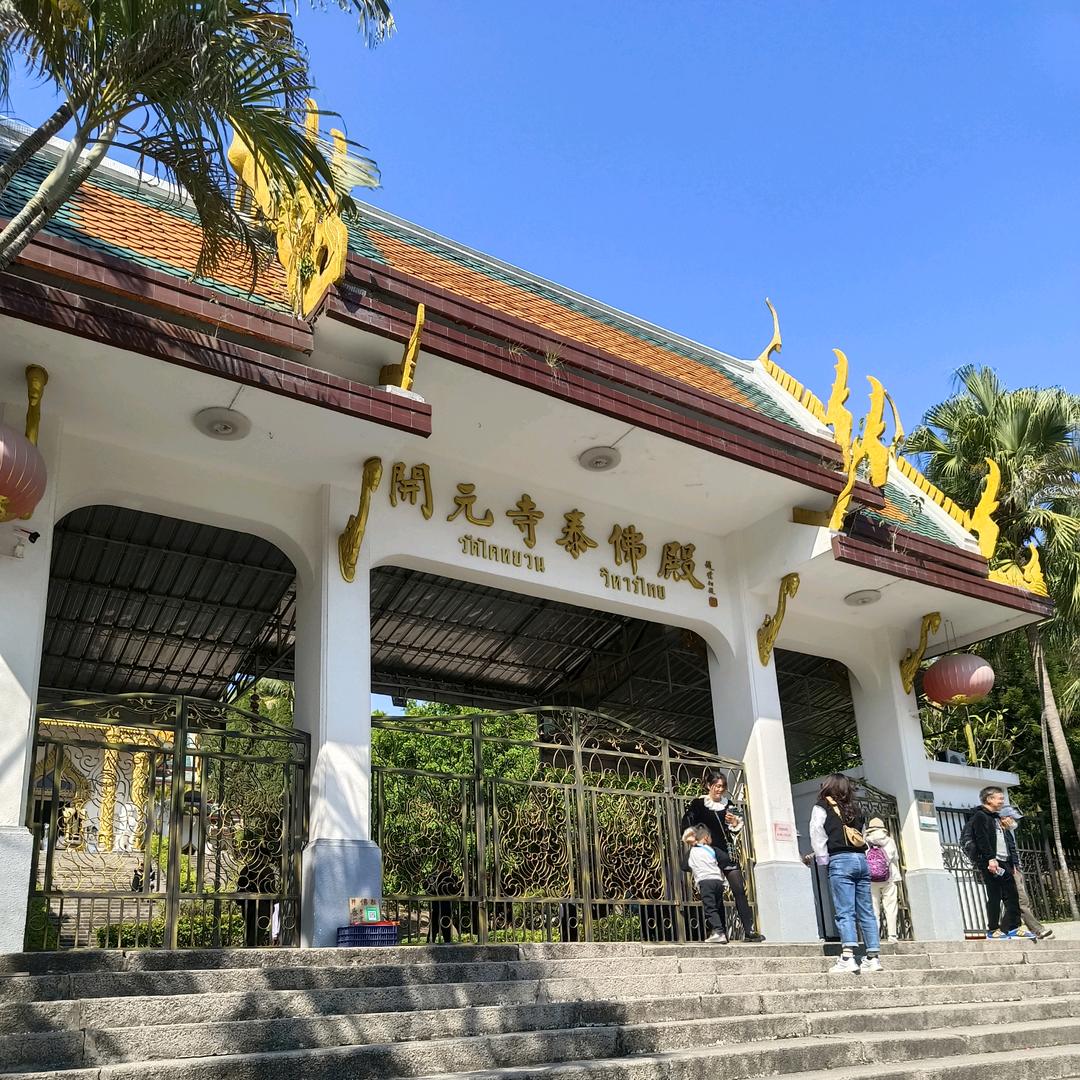 苦过累过何曾放弃过