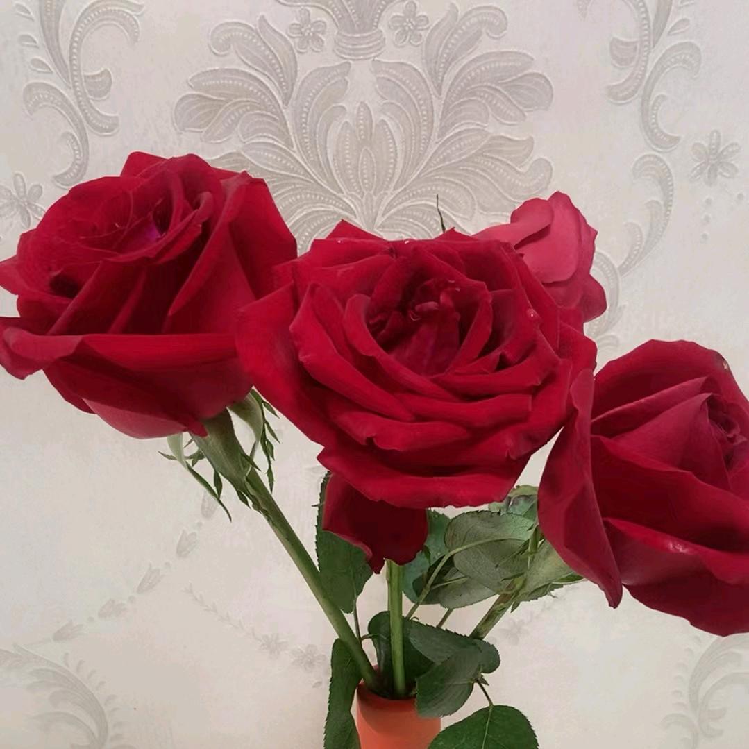 无所谓没必要不至于🎤