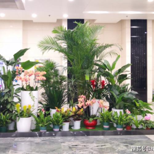 郑州华芳园林