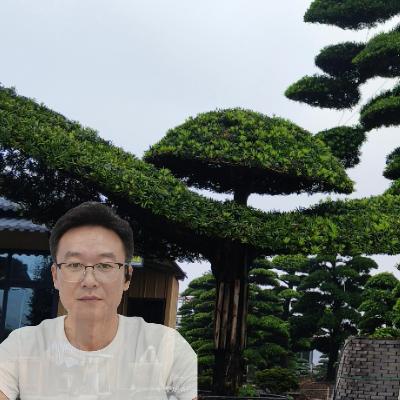 湖南林野园林绿化工程有限公司