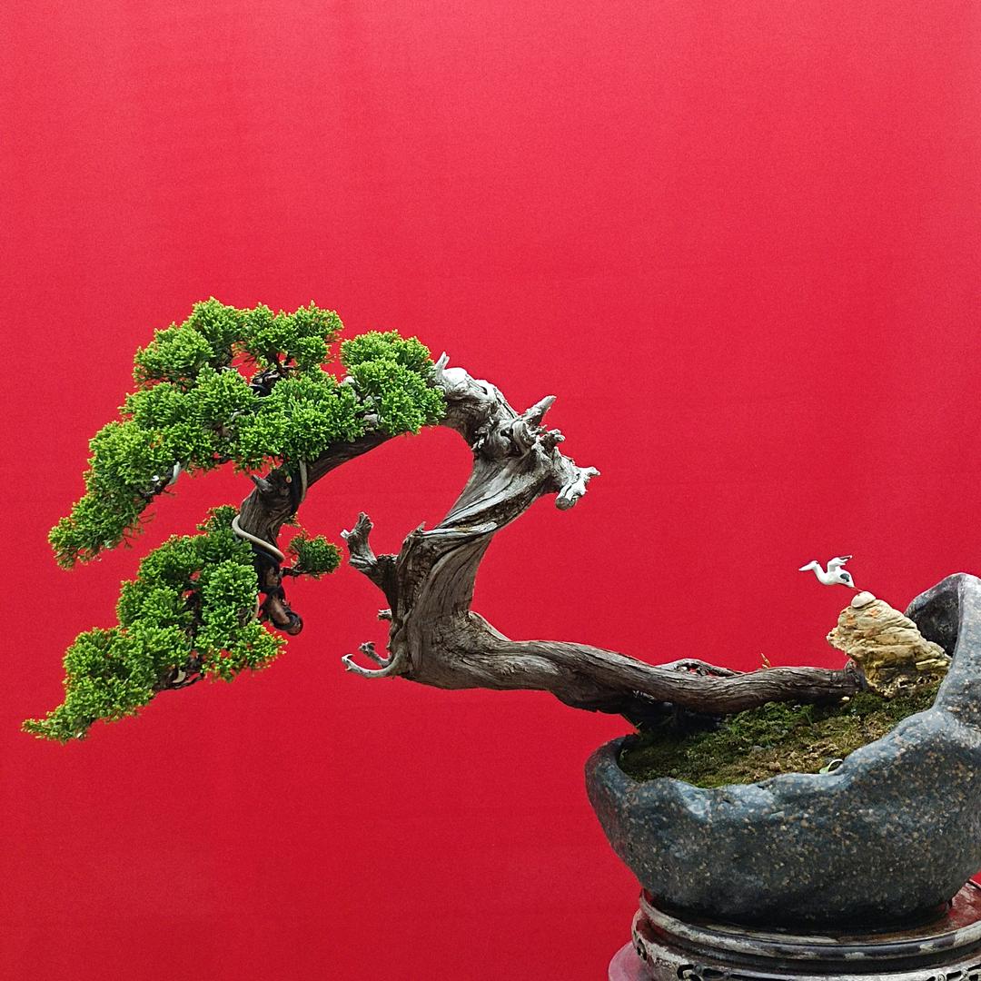 王维新(新香雅居)