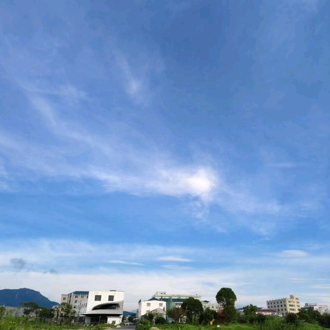 夏夏漫馆