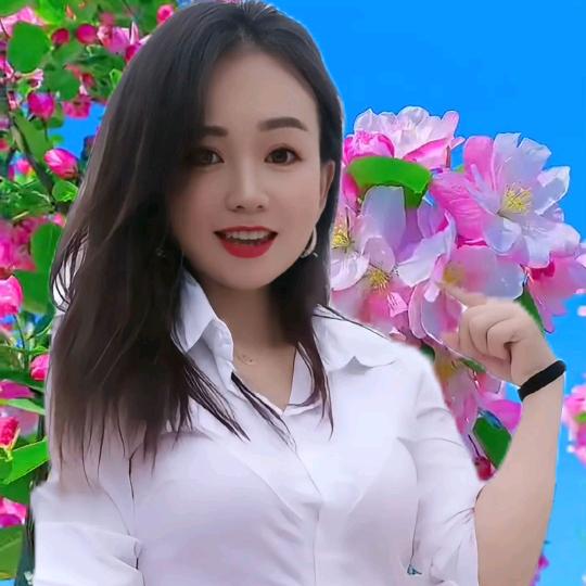 燕子爱剪辑