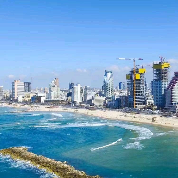 学吉他的老张🎸