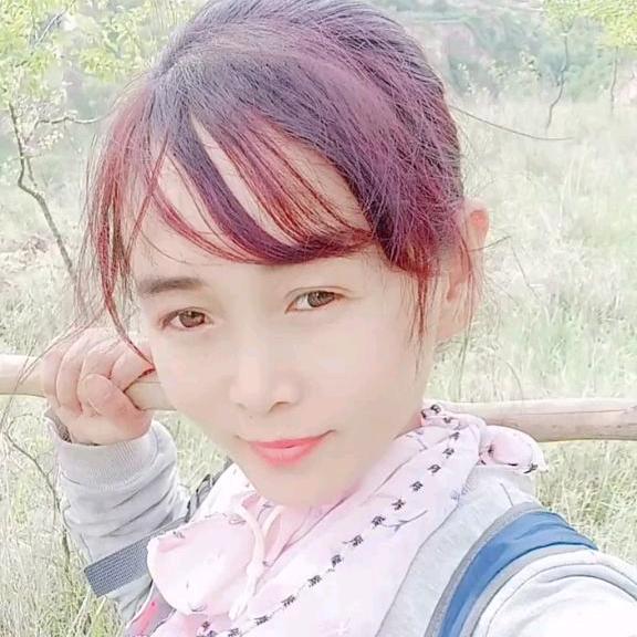 农村小蔡