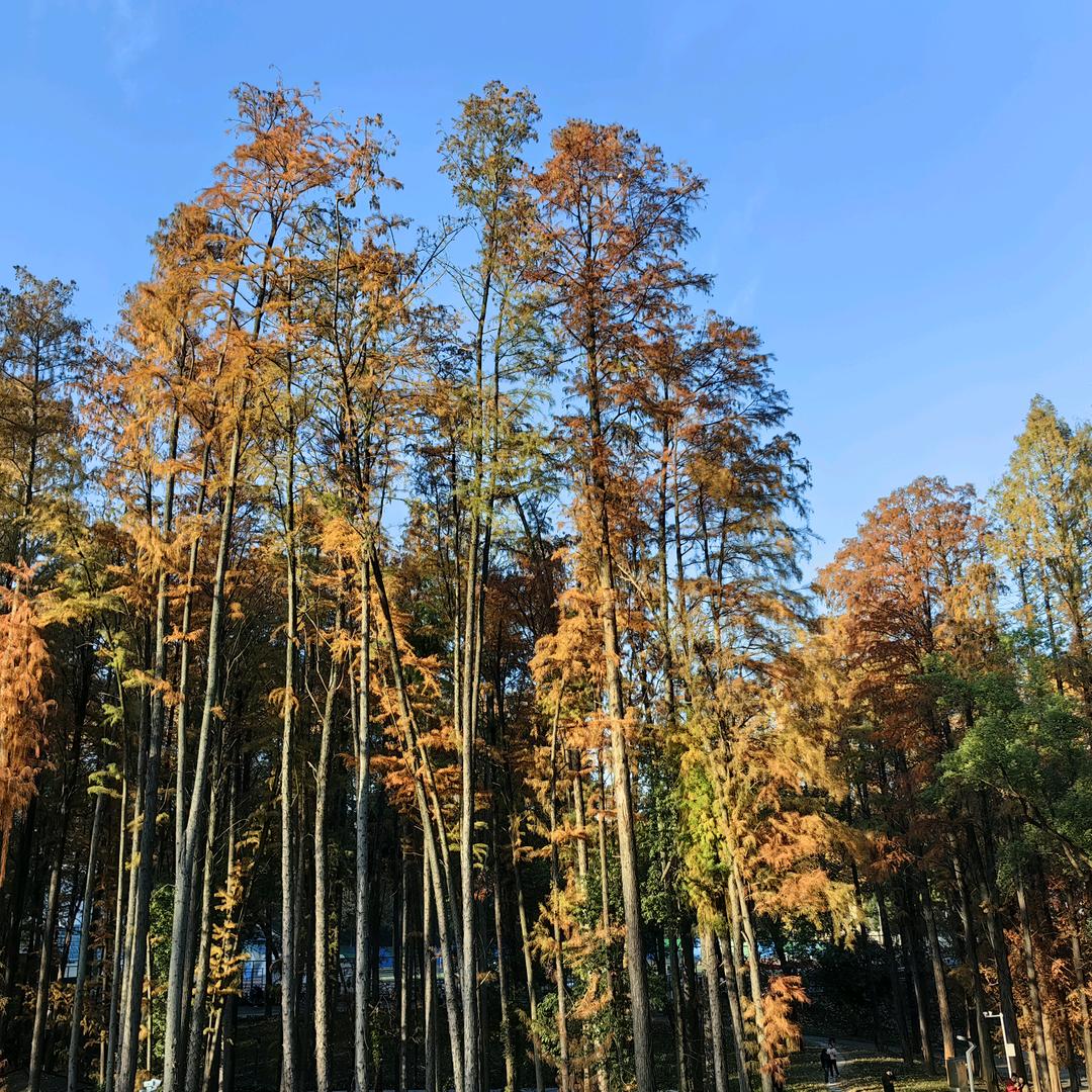 问渠那得清如许