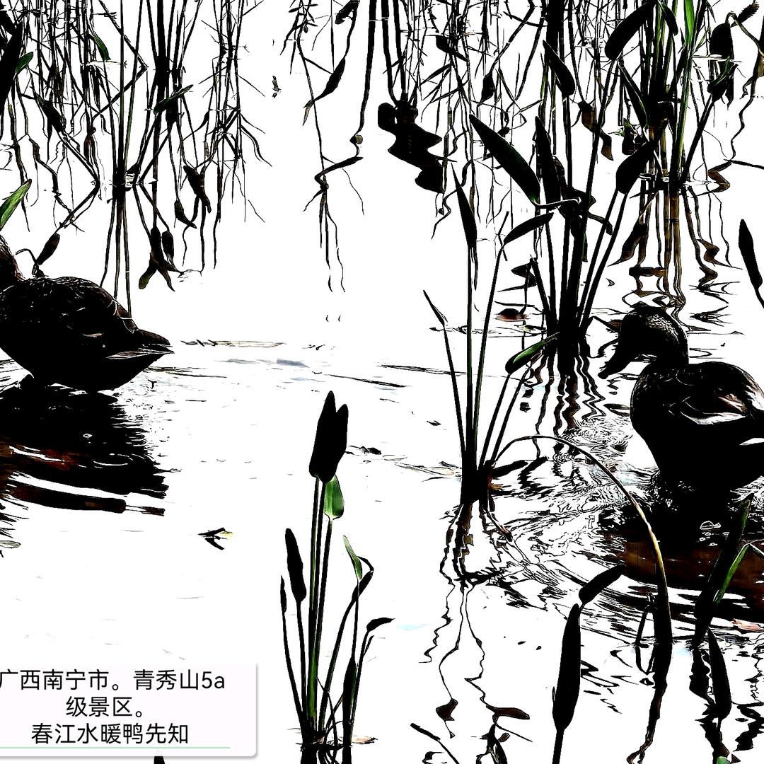 Mr吴先生肇州公考