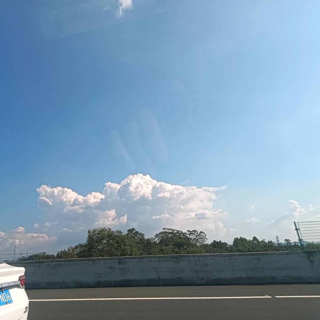 鱼鱼鱼