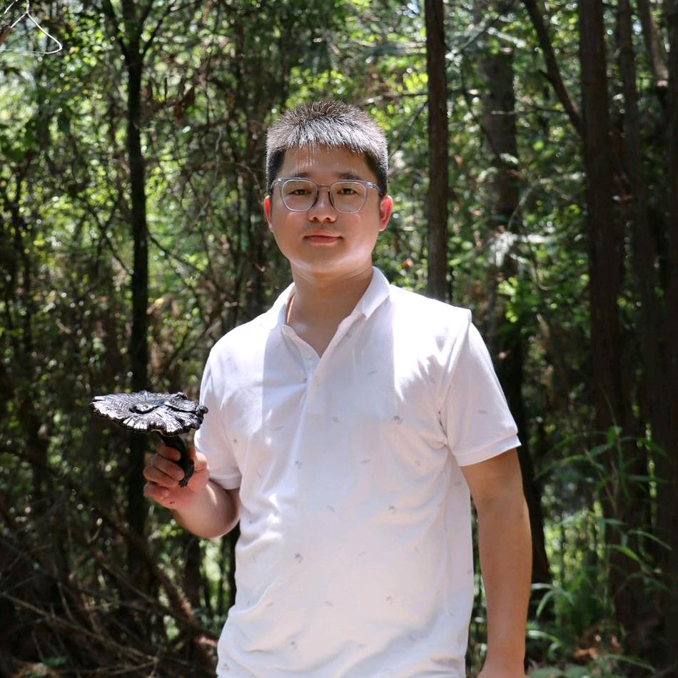 见林见芝