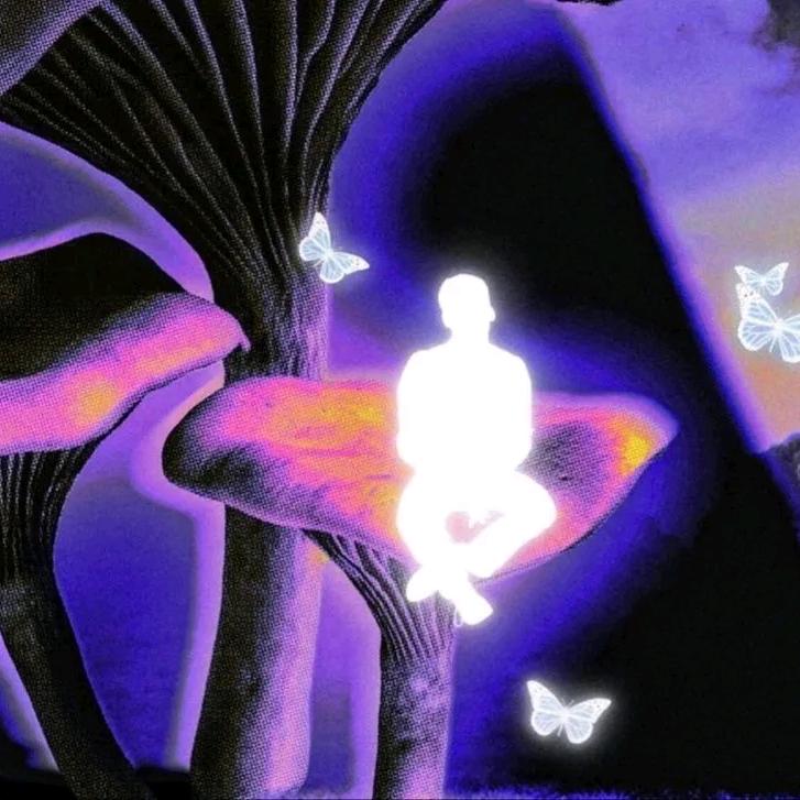 希望枯木能逢春