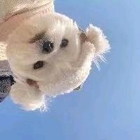 我愿做你人间一两风