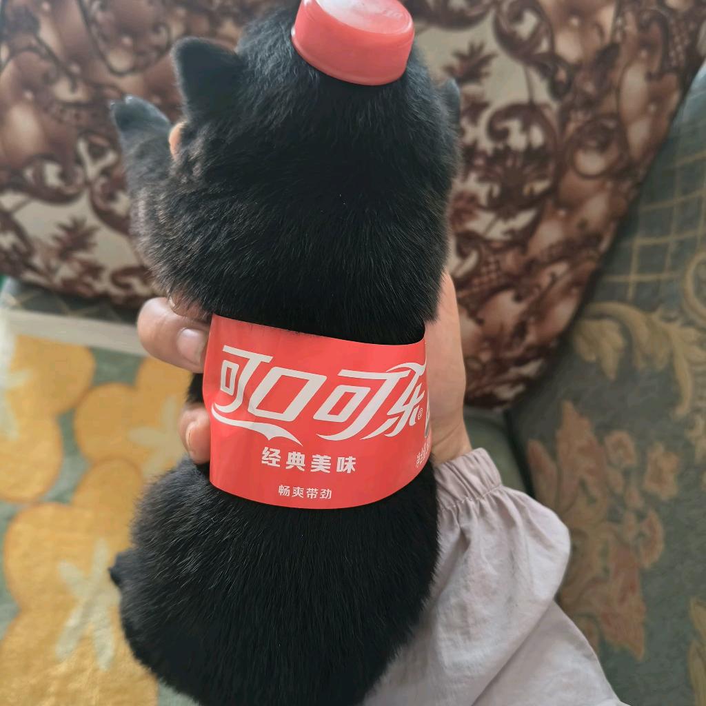 你的一二在这🥰