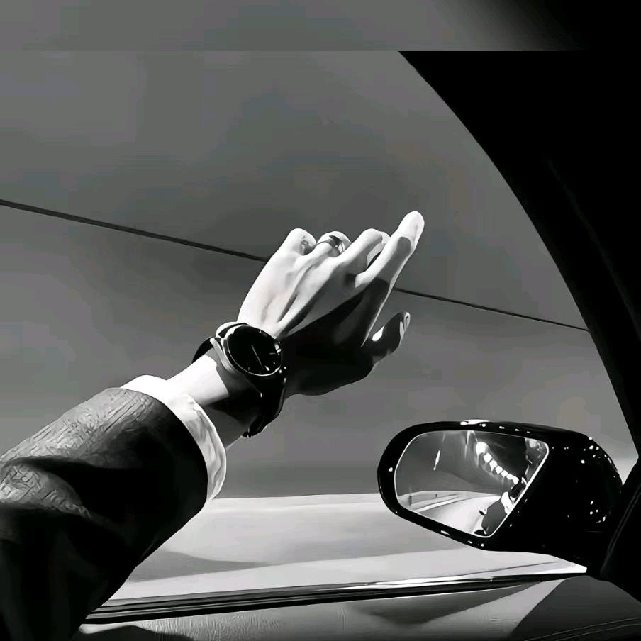 cf王楠