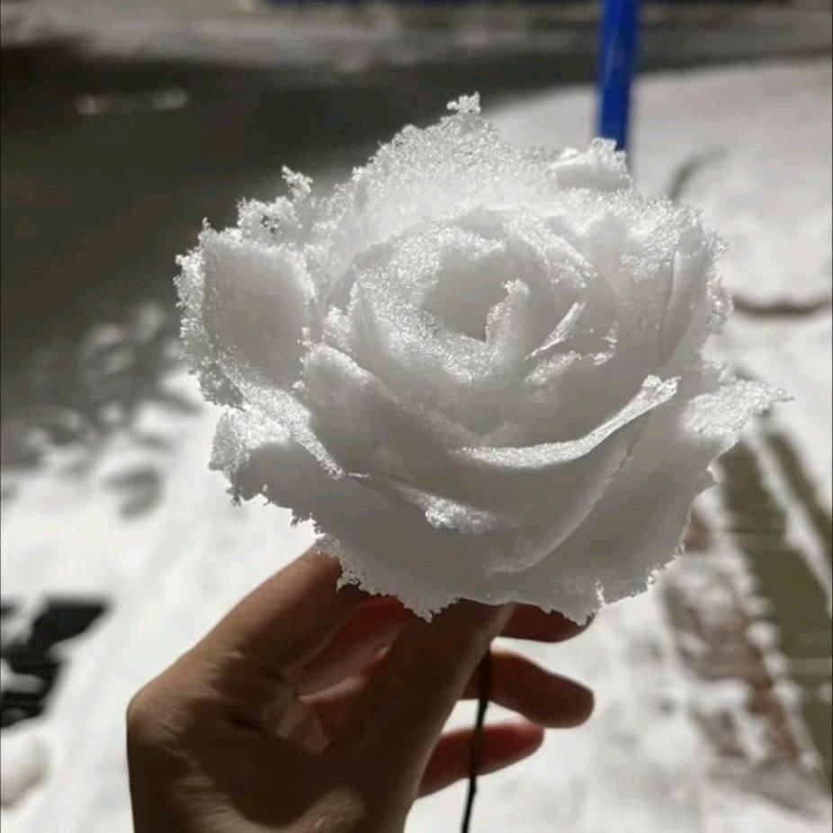 子非鱼，安识鱼之乐