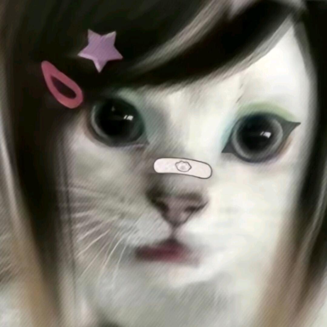 小馋猫