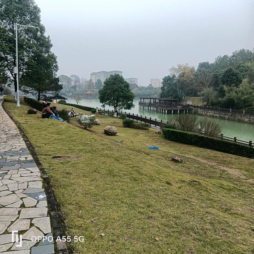 嗨，你们好