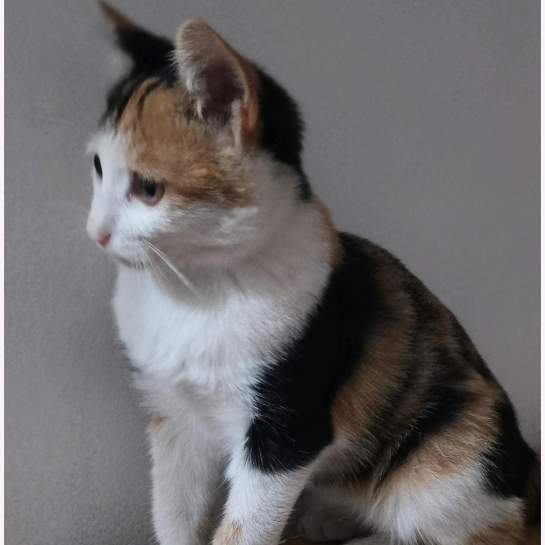 👧自力更生👧