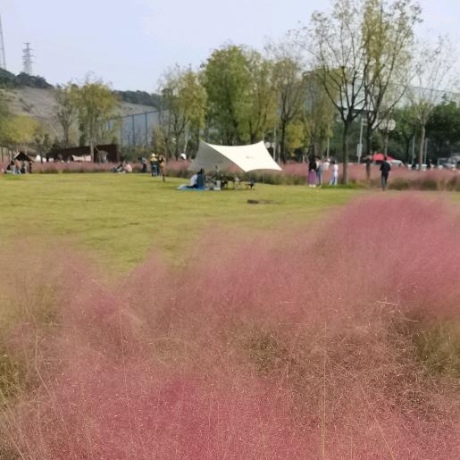 宸悦吖