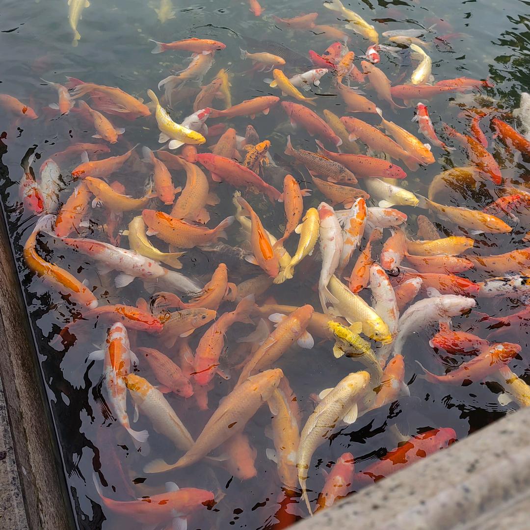 家有两千金（请勿连赞）