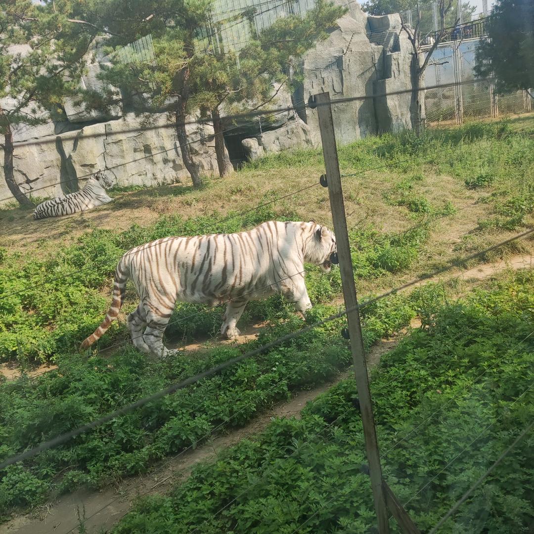百飞啸百货