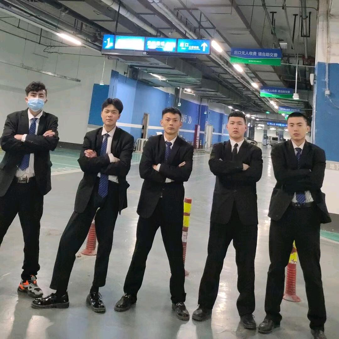 世界格斗顶级视频，坤龙