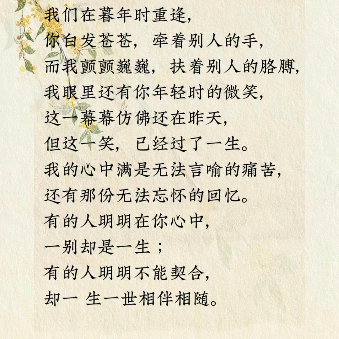 小小太阳呀