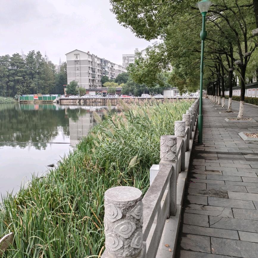 🌸🌸雾凇偶遇🪶(合适即好)一一一一